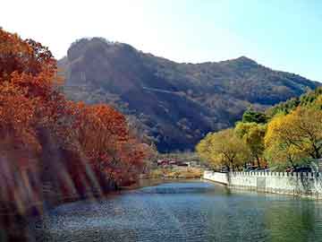 澳彩资料免费长期公开，飞鹤奶粉河南总代理